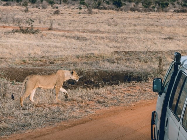 magie de l'Afrique