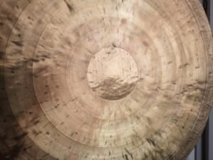 Collier Médaillon Tesla "Fleur de Vie"