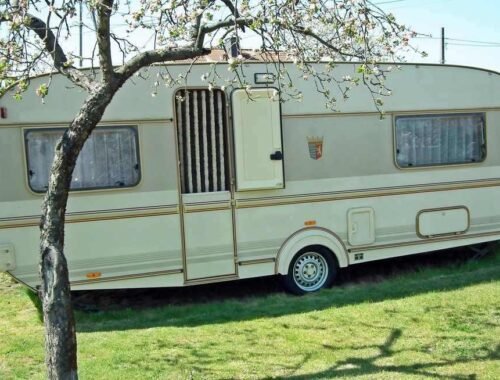 Caravane beige posée sur pelouse arbre à feuilles ciel bleu