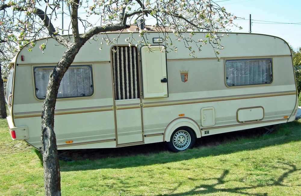 Caravane beige posée sur pelouse arbre à feuilles ciel bleu